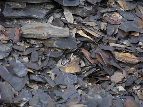 Oil shale - the rock that burns